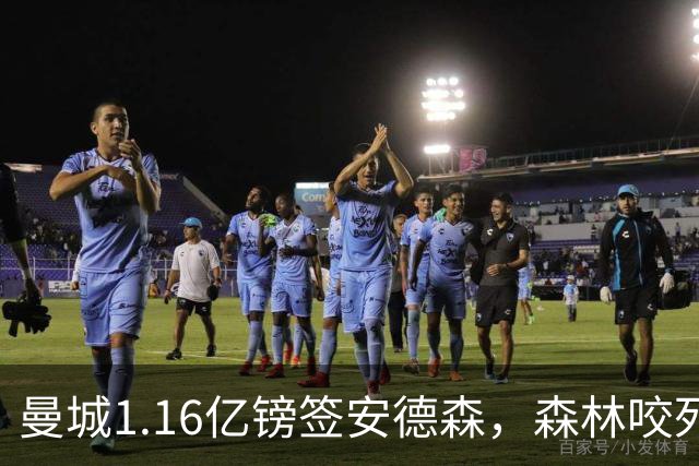 曼城1.16亿镑签安德森，森林咬死现金支付，创英球员转会纪录